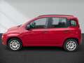 Fiat Panda 1.2 My Panda Rot - thumbnail 9