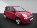 Fiat Panda 1.2 My Panda Rot - thumbnail 2