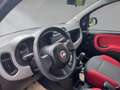 Fiat Panda 1.2 My Panda Rot - thumbnail 11