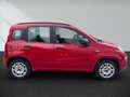 Fiat Panda 1.2 My Panda Rot - thumbnail 3