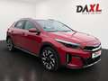Kia XCeed Xceed 1,5 TGDI GPF Gold *1.Besitz* Rot - thumbnail 3