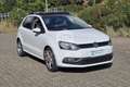 Volkswagen Polo Polo 1.4 TDI 5p. Comfortline Weiß - thumbnail 3