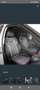 Audi Q2 35 TFSI Sport S tronic 110kW - thumbnail 7