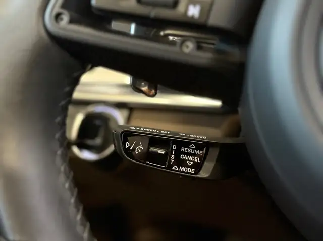 Porsche Panamera 4 E-Hybrid Platinum Edition / Pano / Burmester Ansicht 31