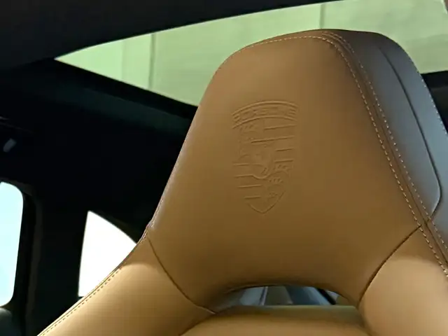 Porsche Panamera 4 E-Hybrid Platinum Edition / Pano / Burmester Ansicht 25