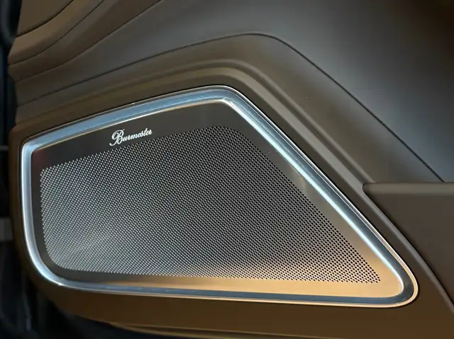 Porsche Panamera 4 E-Hybrid Platinum Edition / Pano / Burmester Ansicht 22