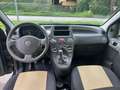 Fiat Panda Panda II  1.2 Dynamic Mamy 69cv E5 Nero - thumbnail 13