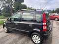 Fiat Panda Panda II  1.2 Dynamic Mamy 69cv E5 Nero - thumbnail 4
