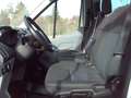 Ford Transit Kombi 310 L2 Trend 1.Hand Klima 8.Sitzer Weiß - thumbnail 8