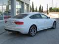 Audi A5 Sportback 3.0TDI Multitronic 204 Blanc - thumbnail 27