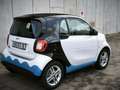 smart forTwo ForTwo EQ 22kW-Laden AppleCarplay AndroidAuto PDC Weiß - thumbnail 10