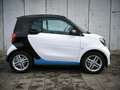 smart forTwo ForTwo EQ 22kW-Laden AppleCarplay AndroidAuto PDC Weiß - thumbnail 5