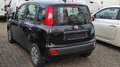 Fiat Panda 1,2 8V MyStyle Schwarz - thumbnail 4