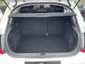 Citroen C4 Lim. Attraction Weiß - thumbnail 16