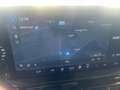 Ford Focus 1.0  ECOBOOST-HYBRID 125CV ST-LINE 5 PORTE Blu/Azzurro - thumbnail 13