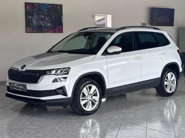 Karoq 2022 2.0 tdi evo Executive 115cv dsg