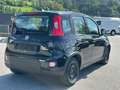Fiat Panda 1.0 70 Hybrid MY24 Schwarz - thumbnail 6