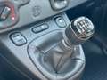 Fiat Panda 1.0 70 Hybrid MY24 Schwarz - thumbnail 15