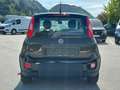 Fiat Panda 1.0 70 Hybrid MY24 Schwarz - thumbnail 5