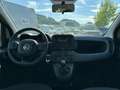 Fiat Panda 1.0 70 Hybrid MY24 Schwarz - thumbnail 11