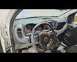 Fiat New Panda Cross 1.0 FireFly Hybrid Bianco - thumbnail 6