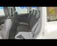 Fiat New Panda Cross 1.0 FireFly Hybrid Bianco - thumbnail 20