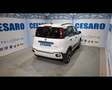 Fiat New Panda Cross 1.0 FireFly Hybrid Bianco - thumbnail 3
