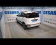 Fiat New Panda Cross 1.0 FireFly Hybrid Bianco - thumbnail 4