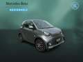 smart forTwo EQ fortwo PRIME+22kW+KAMERA+EXCLUSIVE+PLUS-PAKET Gris - thumbnail 3