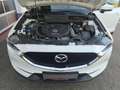 Mazda CX-5 2,2l Sports-Line AWD Automatik Navi Leder Bose Blanc - thumbnail 15