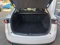 Mazda CX-5 2,2l Sports-Line AWD Automatik Navi Leder Bose Blanc - thumbnail 6