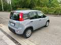 Fiat Panda 1.0 FireFly S&S Hybrid Red Bronzo - thumbnail 5