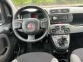Fiat Panda 1.0 FireFly S&S Hybrid Red Bronzo - thumbnail 8