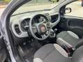 Fiat Panda 1.0 FireFly S&S Hybrid Red Bronzo - thumbnail 11