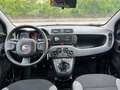 Fiat Panda 1.0 FireFly S&S Hybrid Red Bronzo - thumbnail 9