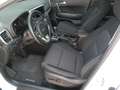 Kia Sportage Sportage 1,6 CRDI SCR Black Edition Blanc - thumbnail 10