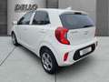 Kia Picanto Vision Navi Klimaautom LenkradHZG SHZ Apple CarPla Weiß - thumbnail 3
