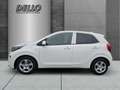 Kia Picanto Vision Navi Klimaautom LenkradHZG SHZ Apple CarPla Weiß - thumbnail 2