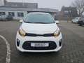 Kia Picanto Vision Navi Klimaautom LenkradHZG SHZ Apple CarPla Weiß - thumbnail 15