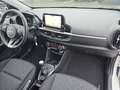 Kia Picanto Vision Navi Klimaautom LenkradHZG SHZ Apple CarPla Weiß - thumbnail 20