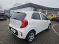 Kia Picanto Vision Navi Klimaautom LenkradHZG SHZ Apple CarPla Weiß - thumbnail 18