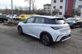 BYD Dolphin 60,4 kWh Comfort **Modelljahr 2025** Alb - thumbnail 4