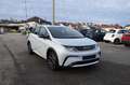 BYD Dolphin 60,4 kWh Comfort*Modelljahr 2025*Vorbestelltes ... Bianco - thumbnail 2