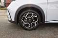 BYD Dolphin 60,4 kWh Comfort*Modelljahr 2025*Vorbestelltes ... Bianco - thumbnail 7