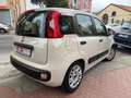 Fiat Panda 1.2 Easy 5 posti Beige - thumbnail 11