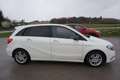 Mercedes-Benz B 200 CDI BlueEfficiency DPF Aut. Weiß - thumbnail 6