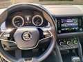 Skoda Kodiaq Kodiaq 2.0 CR TDi Clever DSG Bleu - thumbnail 14