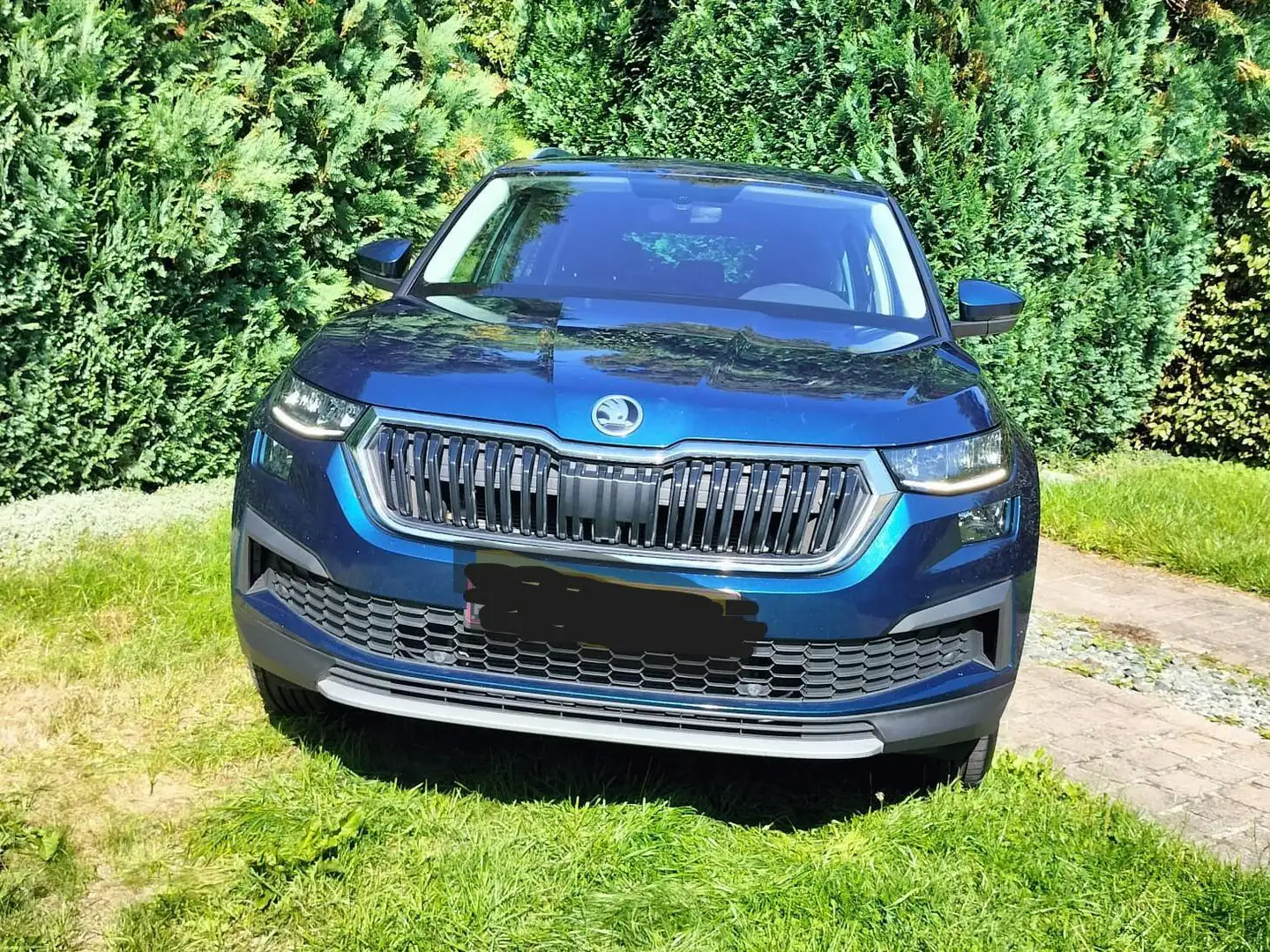 Skoda Kodiaq Kodiaq 2.0 CR TDi Clever DSG Bleu - 2