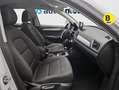 Audi Q3 2.0TDI Offroad ed. quattro S-Tronic Weiß - thumbnail 6