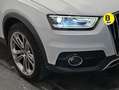 Audi Q3 2.0TDI Offroad ed. quattro S-Tronic Weiß - thumbnail 12